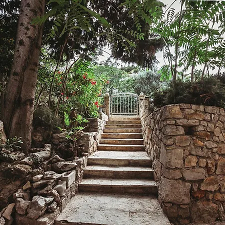 Apartman Ana